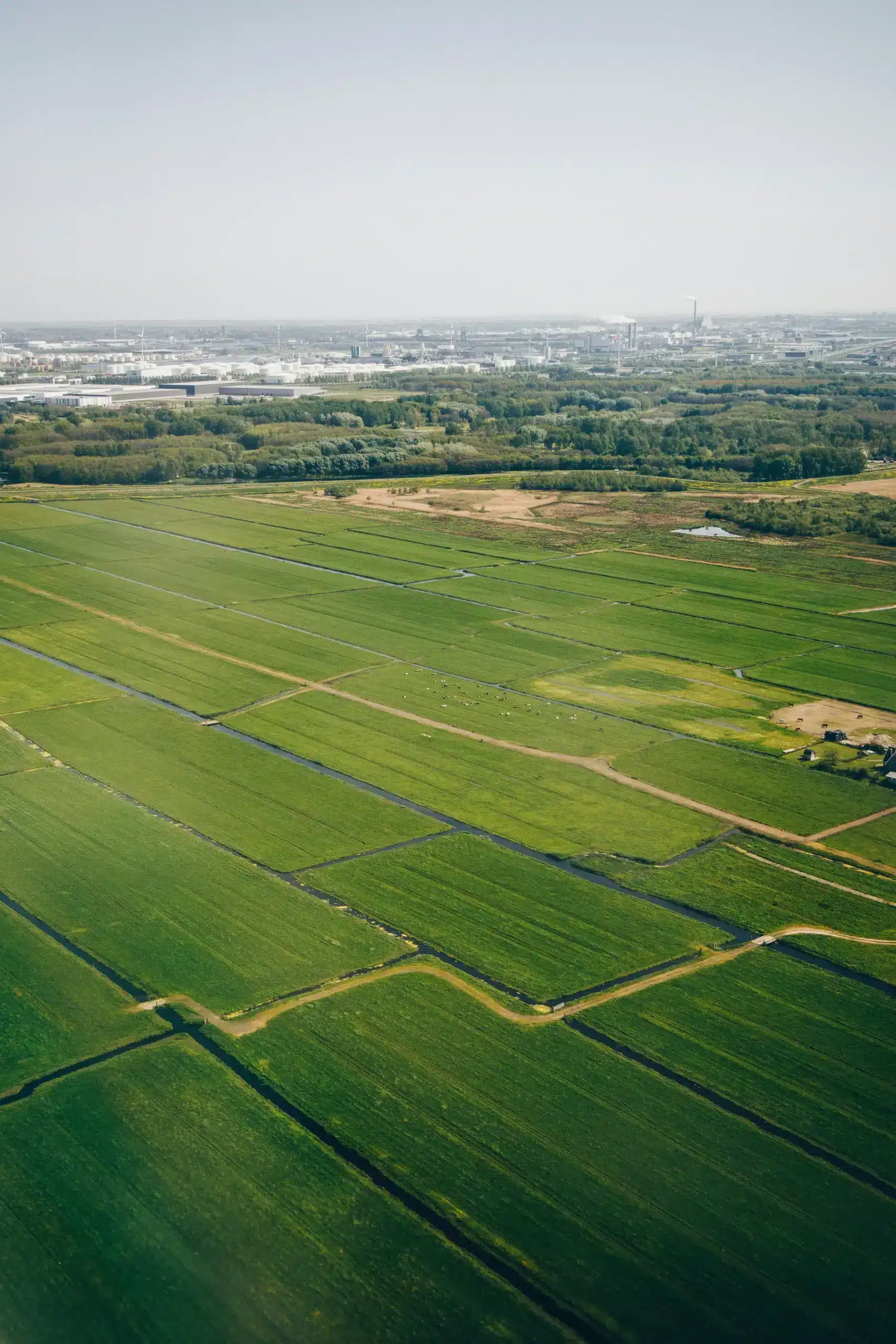 3D Printen in Gelderland